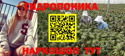 твердый Абакан