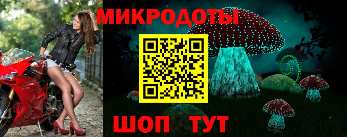 Псилоцибиновые грибы Psilocybe  Вход с VPN  Альметьевск  Псилоцибиновые грибы Magic Shrooms 